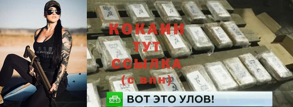 мдпв Нязепетровск
