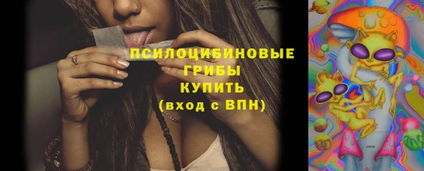 мдпв Нязепетровск