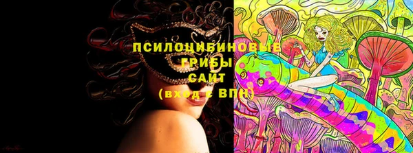 мдпв Нязепетровск