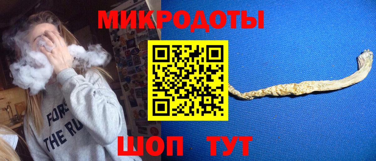 Псилоцибиновые грибы Psilocybine cubensis Раменское